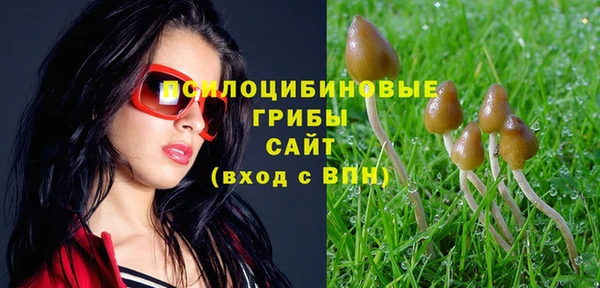 экстази Бронницы