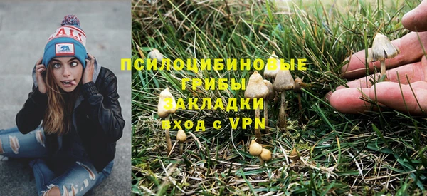 mdma Бородино