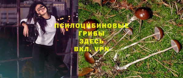 mdma Бородино
